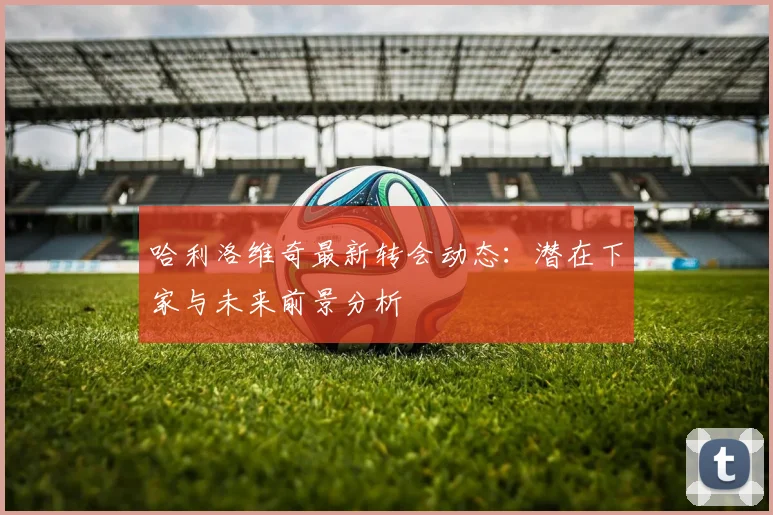 哈利洛维奇最新转会动态：潜在下家与未来前景分析