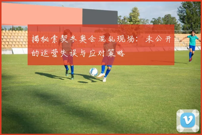 揭秘索契冬奥会混乱现场：未公开的运营失误与应对策略